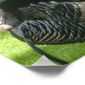 ワイルドターキーポスタープリント ポスター (角)