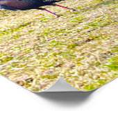 ワイルドターキーポスター ポスター (角)