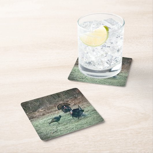 ワイルドターキー紙コースター スクエアペーパーコースター (インサイチュ)