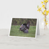 ワイルドターキー カード (黄色い花)