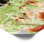 ワイルドターキー – ケビン・ザ・ウェザーズフィールド・トルコ ポスター (角)