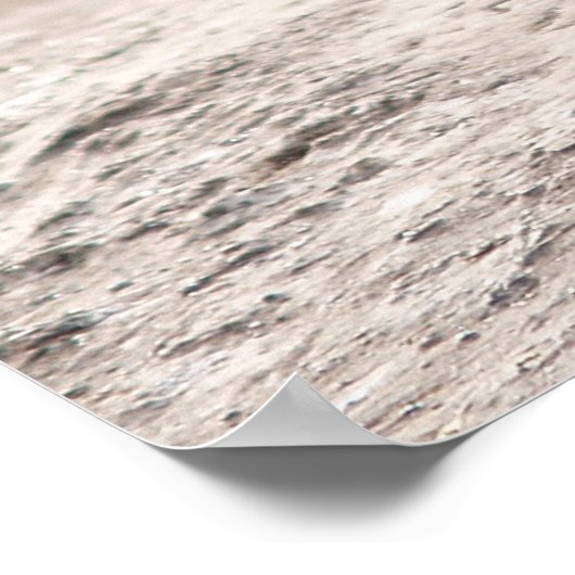 ワイルドターキー ポスター (角)