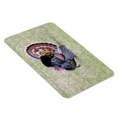 ワイルドターキー マグネット (右側)