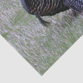 ワイルドターキー 薄葉紙 (詳細)