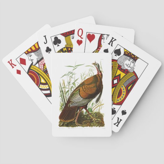 ワイルドターキーJohn James Audubon Birds of America トランプ (裏面)