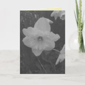 ワイルドダッフォディル カード (正面)