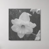 ワイルドダッフォディル キャンバスプリント (正面)