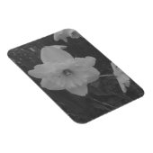 ワイルドダッフォディル マグネット (右側)