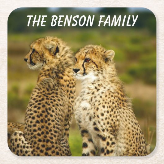 ワイルドチーターのクローズアップ スクエアペーパーコースター (正面)