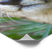 ワイルドチーターのポスター ポスター (角)