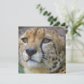 ワイルドチータ招待状 招待状 (スタンド正面)