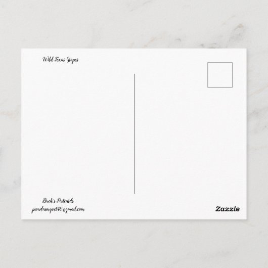 ワイルドテキサス州葡萄はがき ポストカード (裏面)