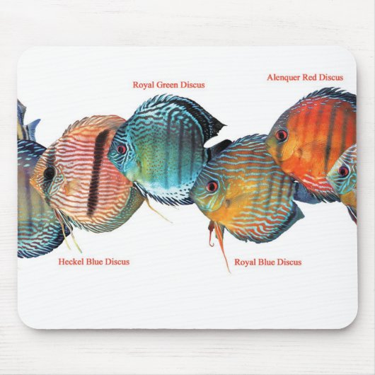 ワイルドディスカッシのュマウスパッド マウスパッド (正面)