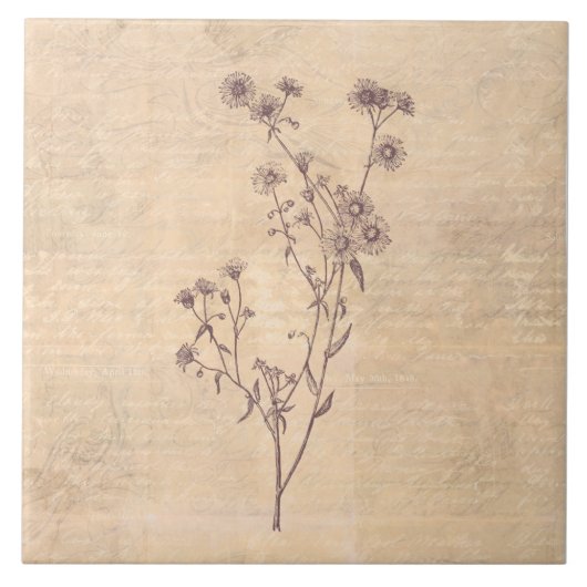 ワイルドデイジーフラワーワイルドフラワーアンティークスクリプト紙 タイル (正面)