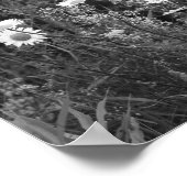 ワイルドデイジーフラワー白黒プリント ポスター (角)