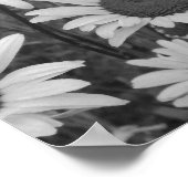 ワイルドデイジーラブ ポスター (角)