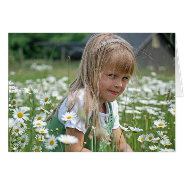 ワイルドデイジー (正面横)