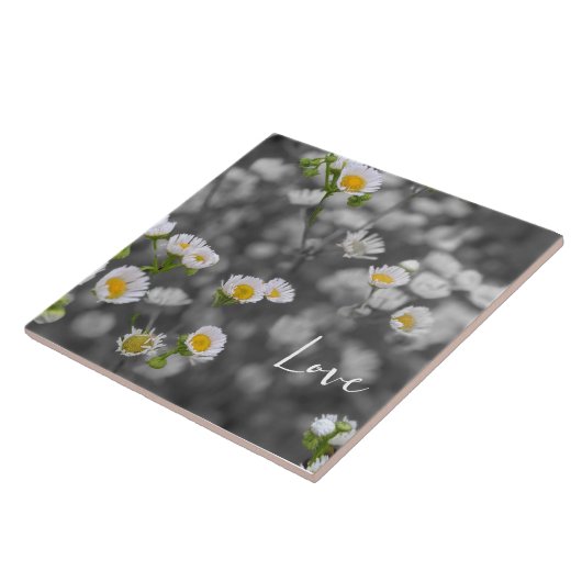 ワイルドデイジー タイル (側面)