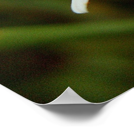 ワイルドデイジー ポスター (角)