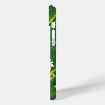 ワイルドデイジー