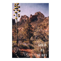 ワイルドデザートカボスエクスプロー自然ワイルド