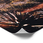 ワイルドデザートカボスエクスプロー自然ワイルド ポスター (角)