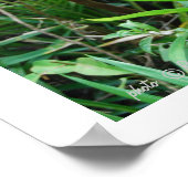 ワイルドデートすること広告 ポスター (角)