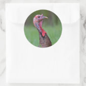 ワイルドトム ラウンドシール (バッグ)