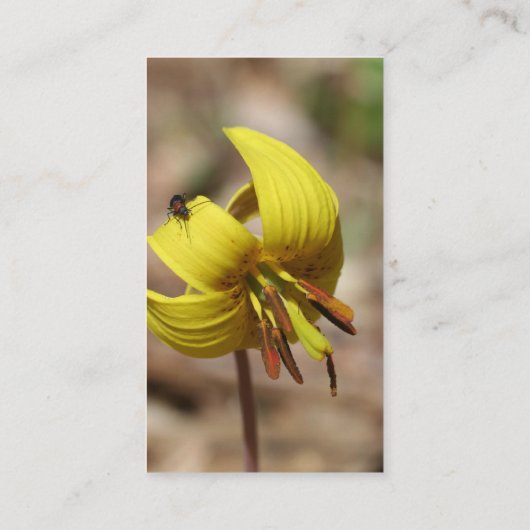 ワイルドトラウトユリの花の名刺 名刺 (裏面)