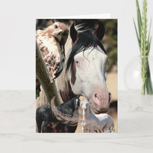 ワイルドドリームズと羽"ムスタンメグ"ワイルドカード サンキューカード (正面)