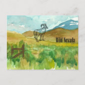 ワイルドネバダビョーンシープデザートランドスケープ ポストカード (正面)