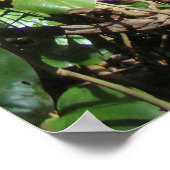 ワイルドハワイアンフィロデンドロン ポスター (角)