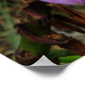 ワイルドハワイアンラン ポスター (角)