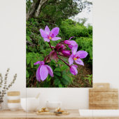 ワイルドハワイアンラン ポスター (キッチン)