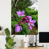 ワイルドハワイアンラン ポスター (ホームオフィス)