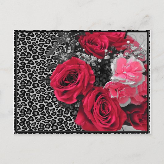 ワイルドハート ポストカード (正面)