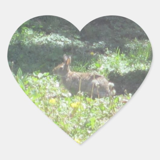 ワイルドバニーのステッカー – Sheet of 20 ハートシール (正面)