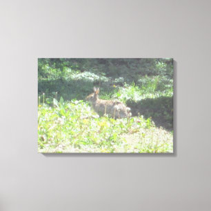 ワイルドバニーの写真オンキャンバス キャンバスプリント