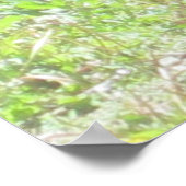 ワイルドバニープリント ポスター (角)