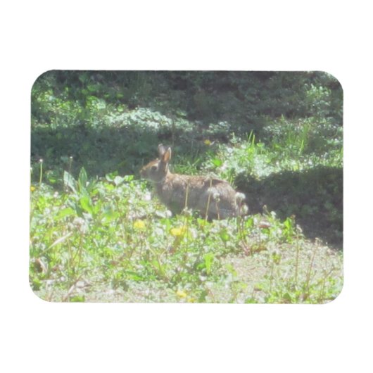 ワイルドバニー可撓磁石 マグネット (横)