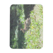 ワイルドバニー可撓磁石 マグネット (縦)