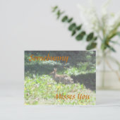 ワイルドバニー恋しく思のハガキ ポストカード (スタンド正面)