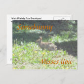 ワイルドバニー恋しく思のハガキ ポストカード (正面/裏面)