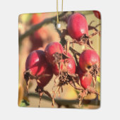 ワイルドバラお尻クリスマスオーナメント セラミックオーナメント (左)