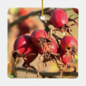 ワイルドバラお尻クリスマスオーナメント セラミックオーナメント (裏面)