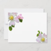 ワイルドバラお祝いのライフフォトカード 招待状 (裏面)