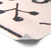 ワイルドバラアートイラストレーションフラワーヴィンテージ ポスター (角)