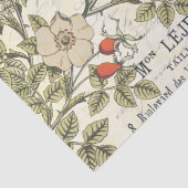 ワイルドバラカルテポストアルソンバードスクフランスのリプト 薄葉紙 (詳細)