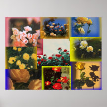 ワイルドバラコラージポスター