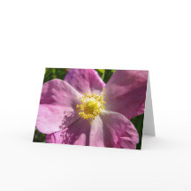 ワイルドバラノテカード